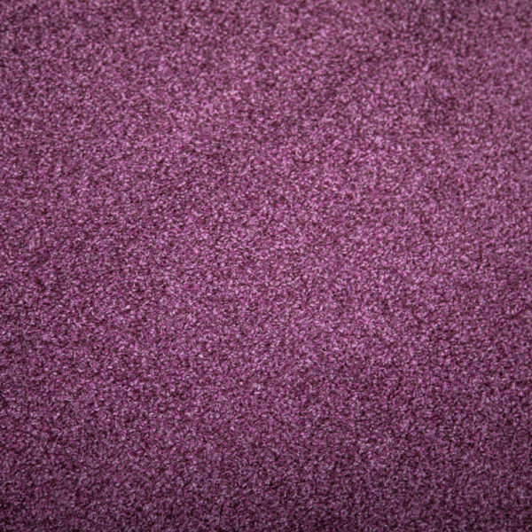 Purple Twist Carpet