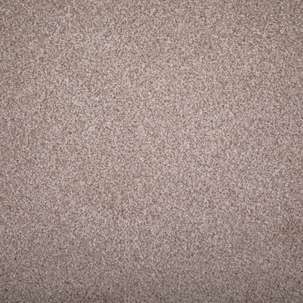 Latte Shade Twist Carpet