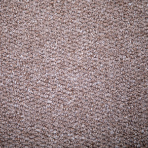 Almond Shade Carpet