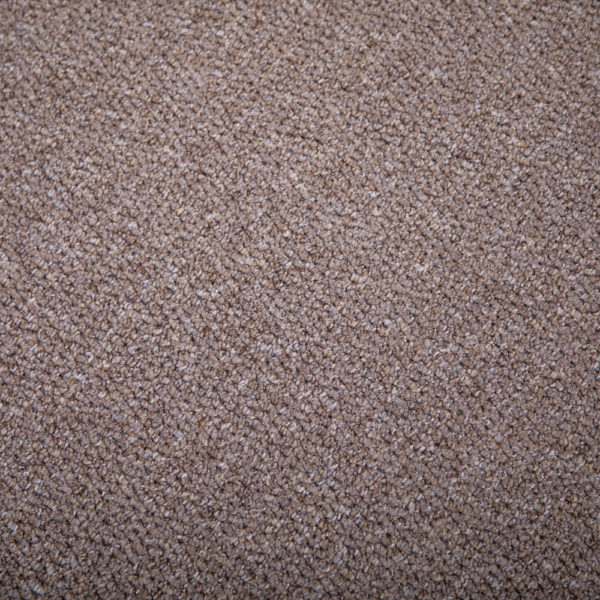 Sand Shade Carpet