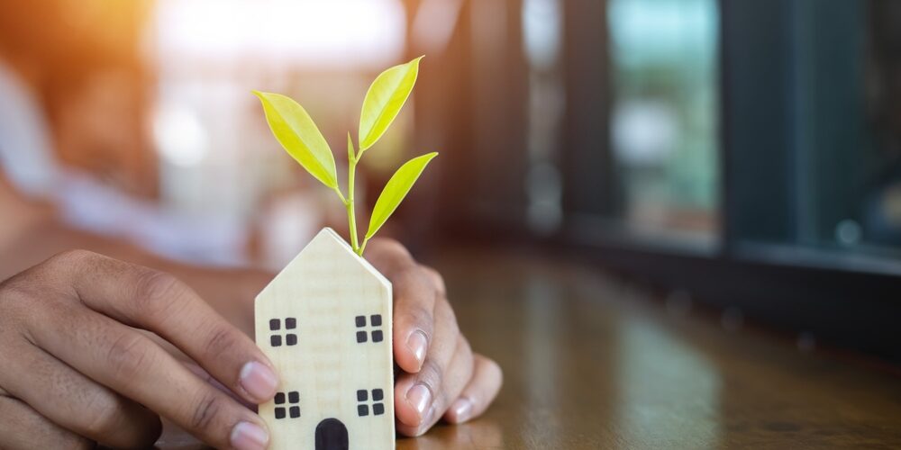 Sustainable carpet underlays Sustainable carpet underlays