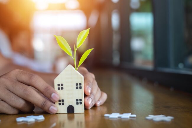 Sustainable carpet underlays Sustainable carpet underlays